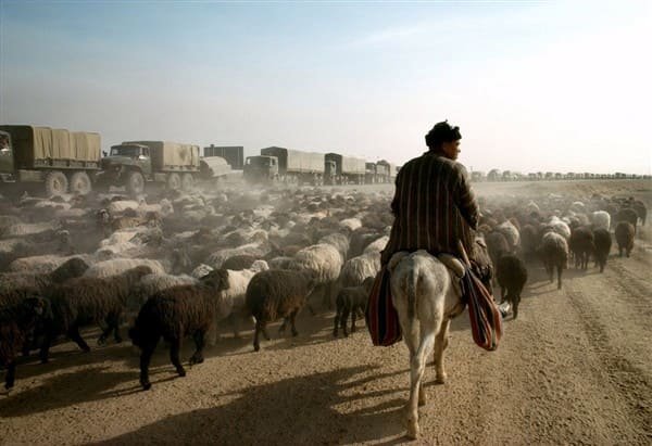 Afghan shepherd watching a departing Soviet military convoy during the withdrawal from Afghanistan