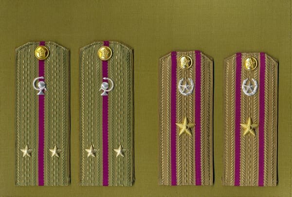 Soviet Army removable shirt shoulder boards lieutenant veterinary service and major quartermaster administrative service USSR 1969