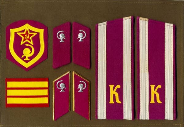 Soviet military medical academy cadet insignia with veterinary service collar tabs, sleeve patch and cadet shoulder boards model 1973