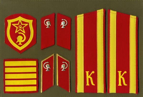 Soviet military medical and veterinary service cadet insignia with sleeve patch, collar tabs and cadet shoulder boards model 1988