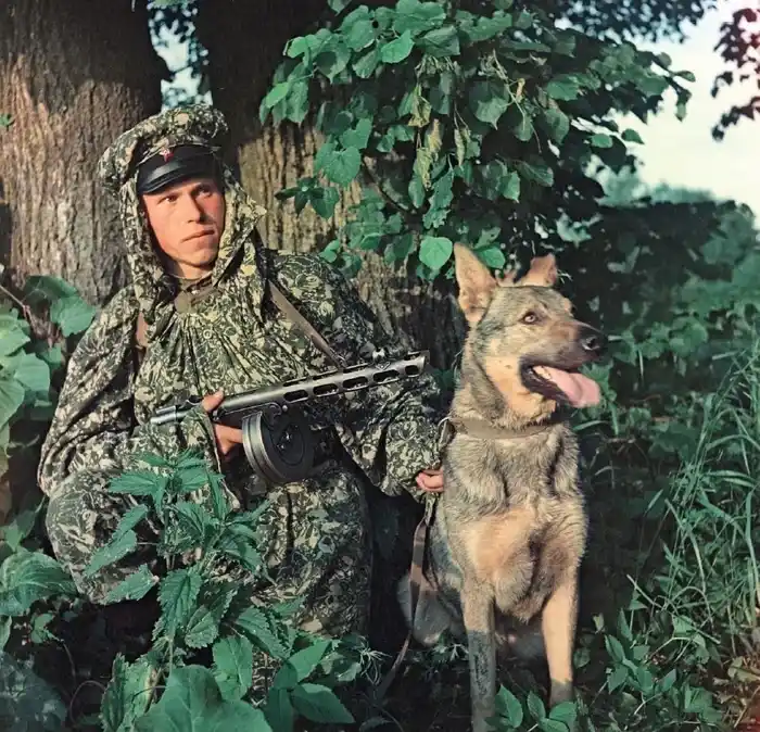 Soviet scout in berezka camouflage with military dog WW2
