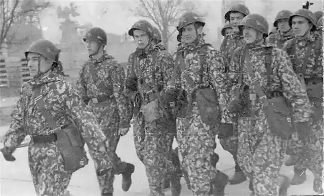 Soviet soldiers wearing palm camouflage uniform special forces USSR